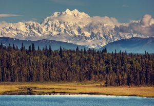 mountains in the Denali National Park