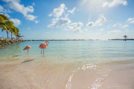 Planning Your Destination Wedding? Visit These Caribbean Islands.