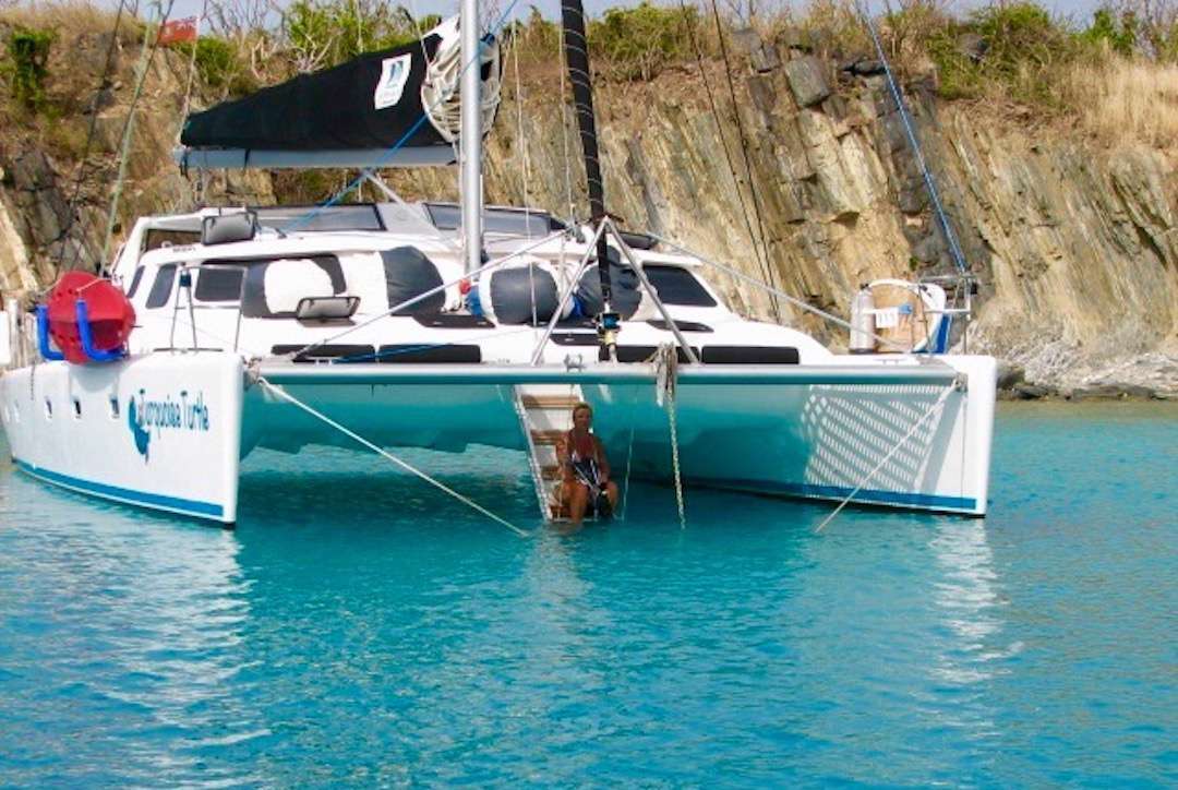 Turquoise Turtle Yacht