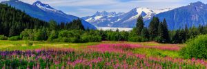 Alaskan Mountain range