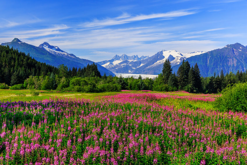 Alaskan Mountain range