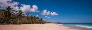 Beautiful beach in the Dominican Republic