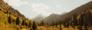 man walking along rural pathway, mineral king, sequoia national park, california, usa