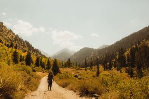 man walking along rural pathway, mineral king, sequoia national park, california, usa